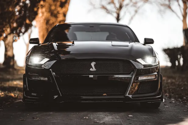 Lapilanders Kasino Android/iOS Aplikácia